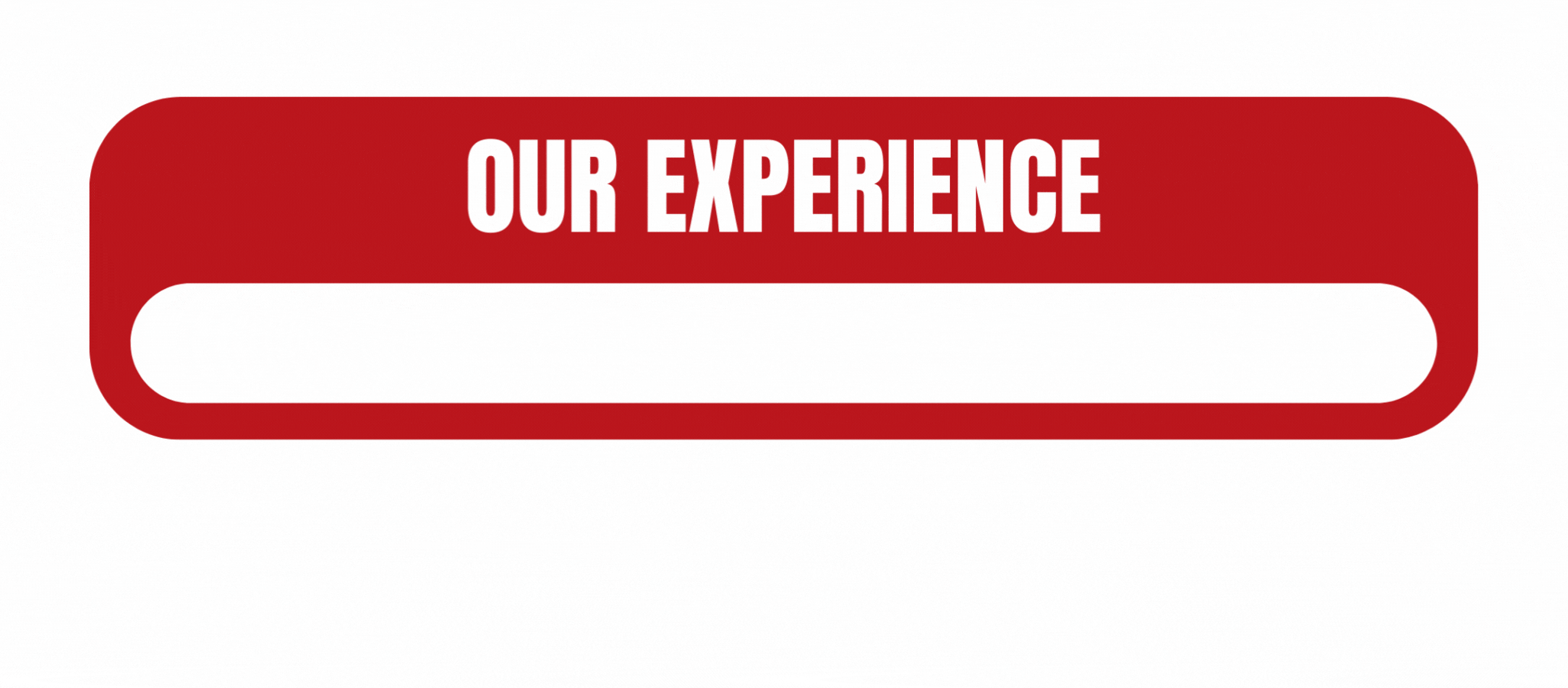 Experiance_Bizbuddy digital marketing Services